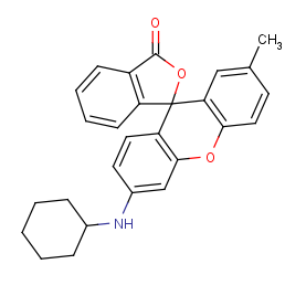 6'-(cyclohexylamino)-2'-methylspiro[2-benzofuran-1,9'-xanthene]-3-one