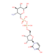 udp-glucosamine