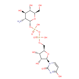 udp-glucosamine