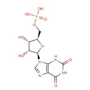 xanthosine monophosphate