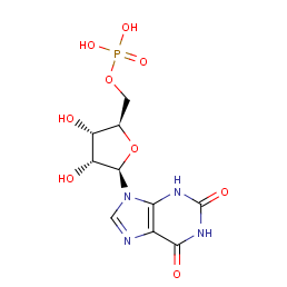 xanthosine monophosphate